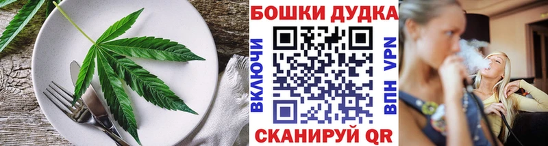 Купить  Заводоуковск  Canna-Cookies конопля 