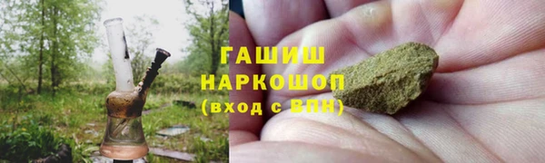 индика Ивангород