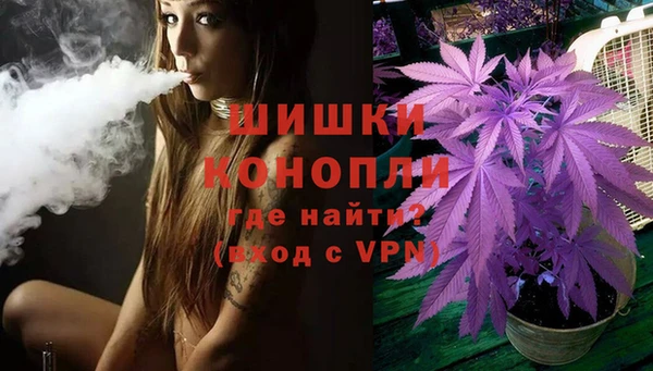 индика Ивангород