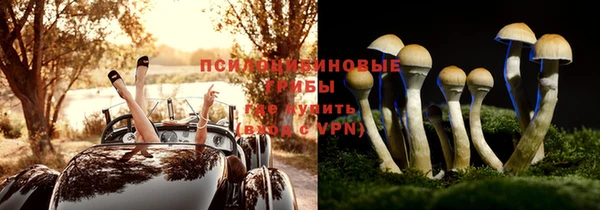 мдпв Михайловка