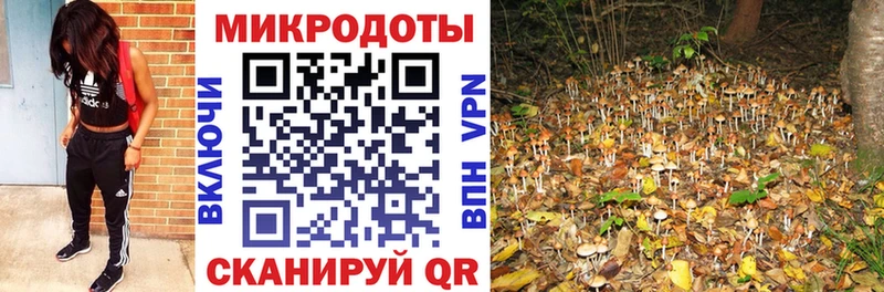 Купить где  Заводоуковск  Псилоцибиновые грибы мухоморы 